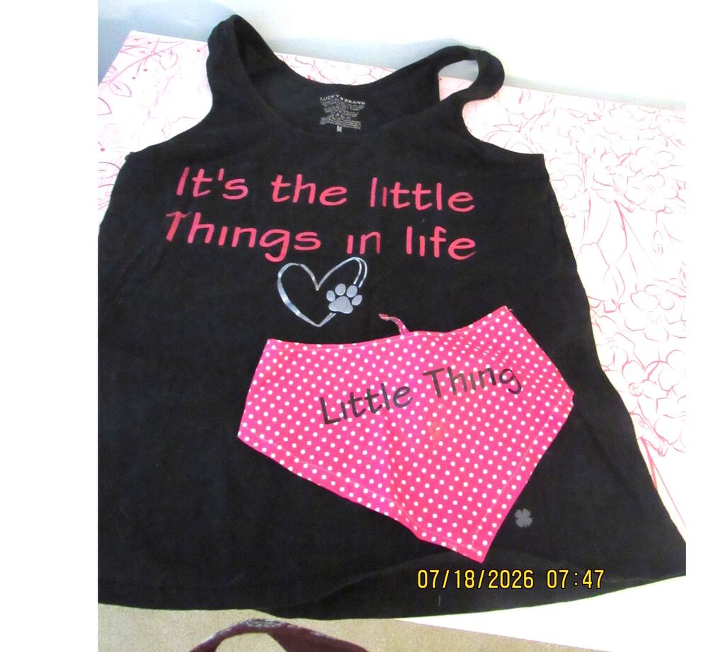 Matching Dog Mom & Dog Shirt/Bandana Set